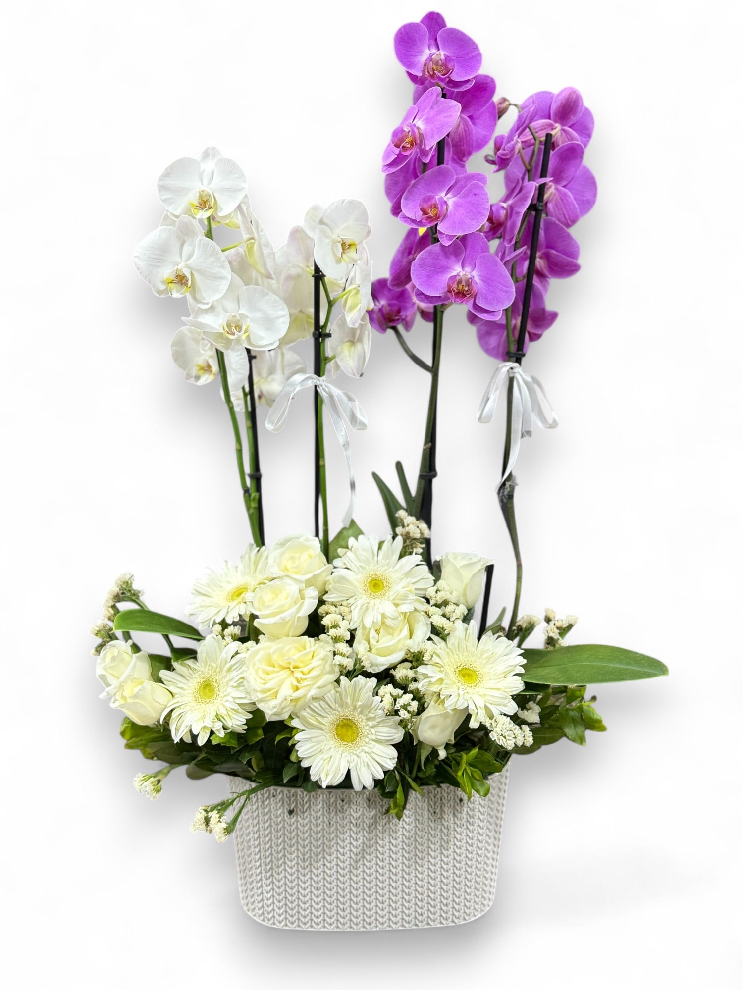 Premium 4 Dall Mor ve Beyaz Orkide Aranjman Bahesi